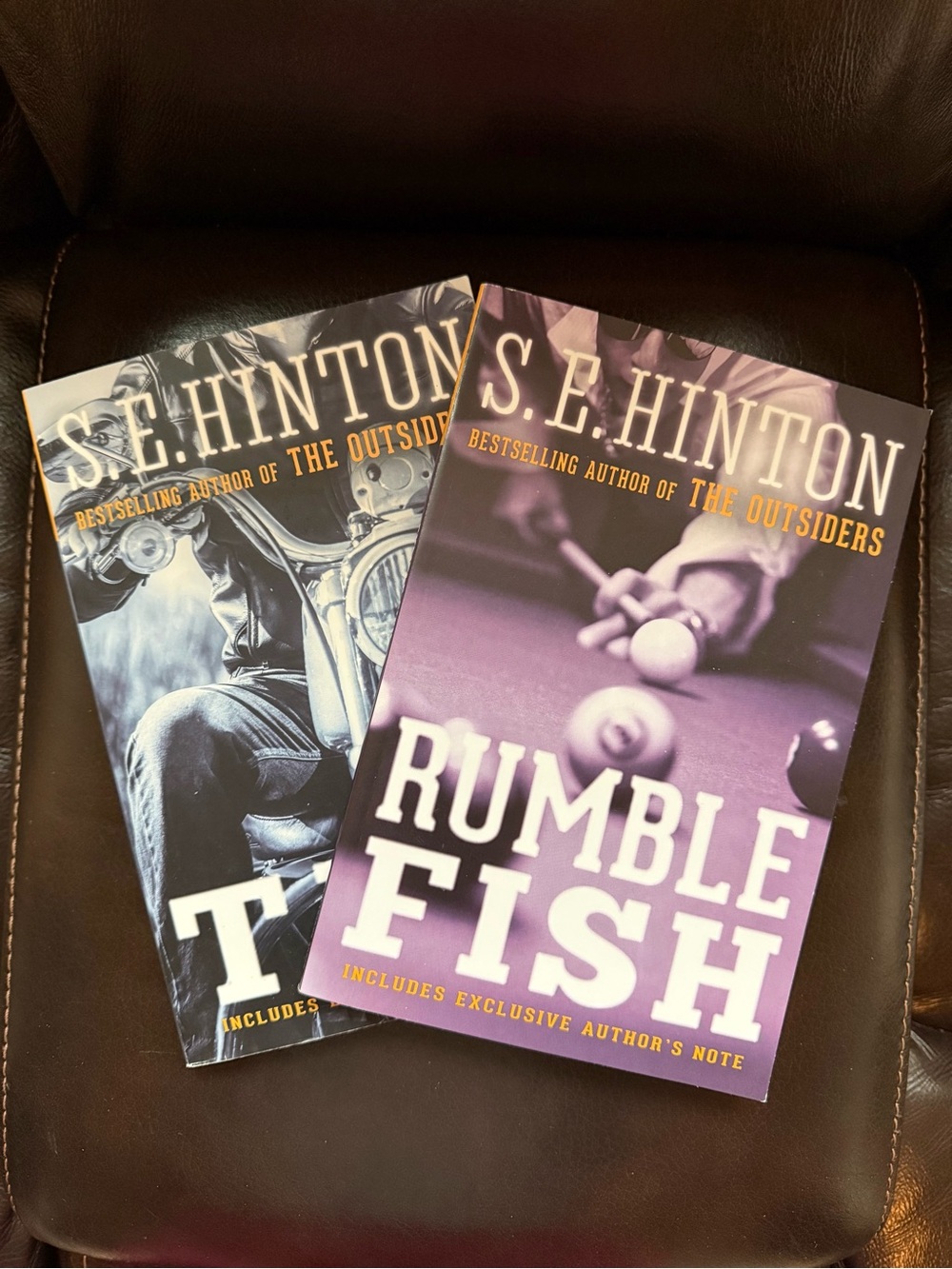 Rumble Fish Paperback & Tex Paperback Set of 2 Books by S.E. Hinton of Outsiders